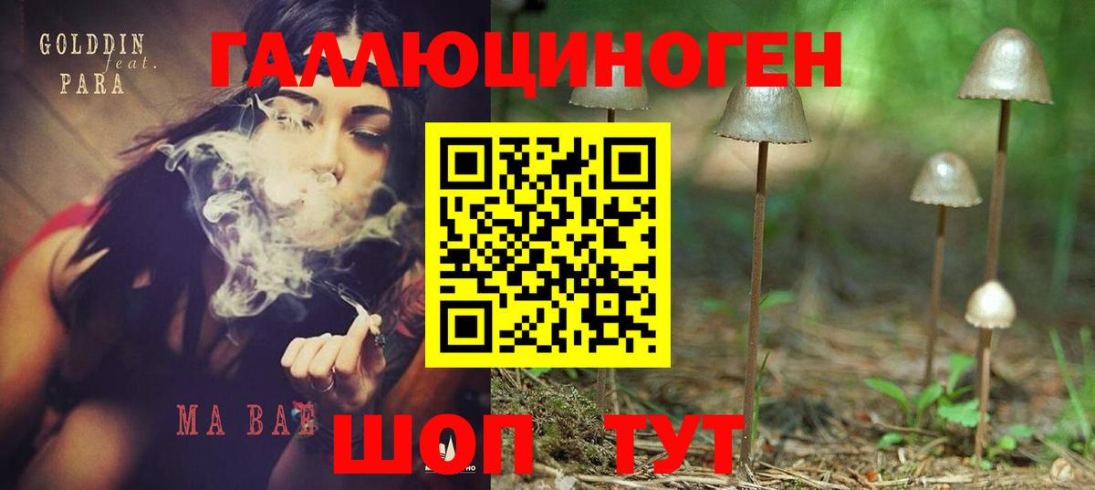 Галлюциногенные грибы GOLDEN TEACHER  Вход с VPN  Петрозаводск  Псилоцибиновые грибы MAGIC MUSHROOMS 